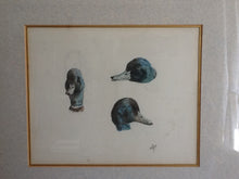 Charger l'image dans la galerie, Etude Originale Têtes de Canard - Henriette Ronner-Knip - Study of Duck Heads