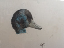 Charger l'image dans la galerie, Etude Originale Têtes de Canard - Henriette Ronner-Knip - Study of Duck Heads